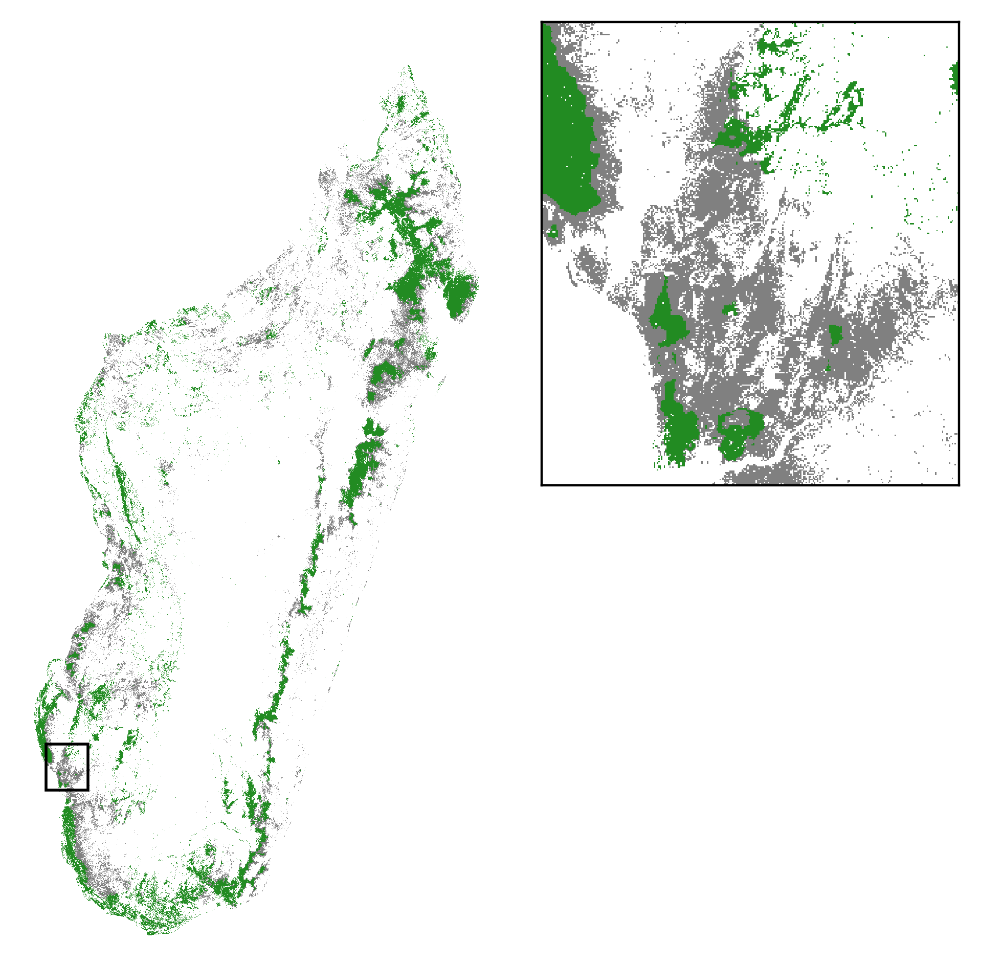 Deforestation sur la période 2010-2050 et couverture forestière en 2050 à Madagascar. Nous projetons la couverture forestière à l’horizon 2050 en considérant une déforestation moyenne annuelle de 100 000 ha/an. Vert: forêt résiduelle en 2050; gris: déforestation sur la période 2010-2050.